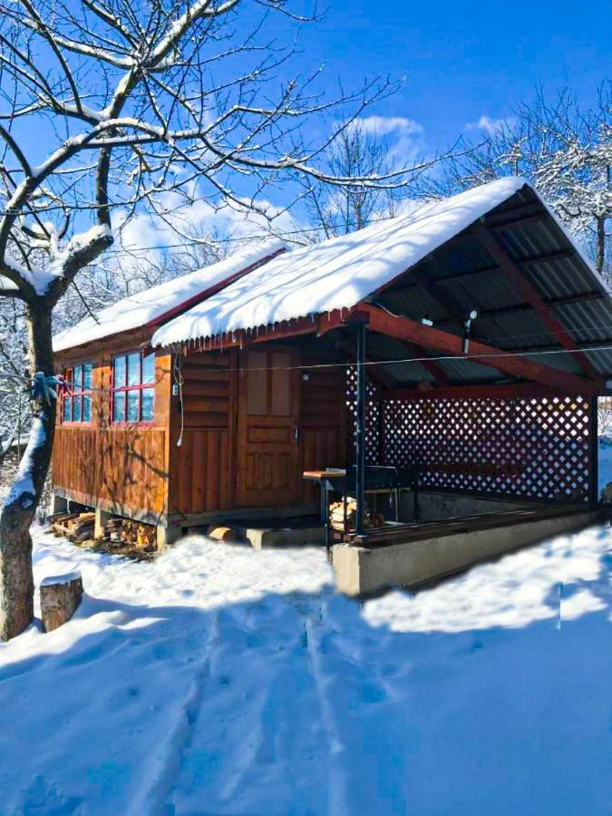 Під Лісом У Гіда Villa Yaremche Bagian luar foto